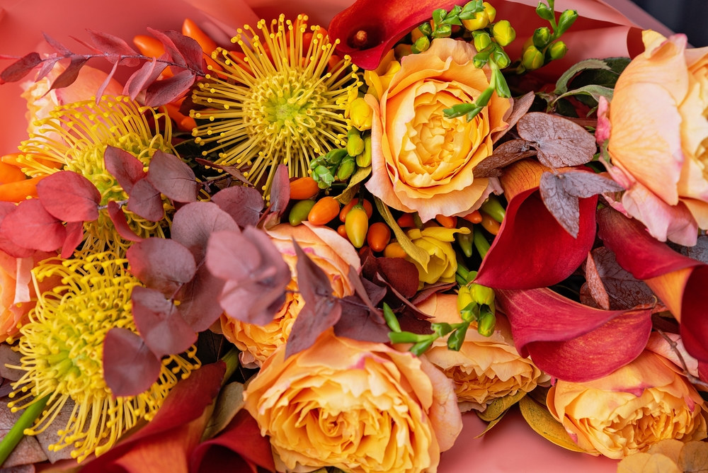 Flowering Autumn Plants