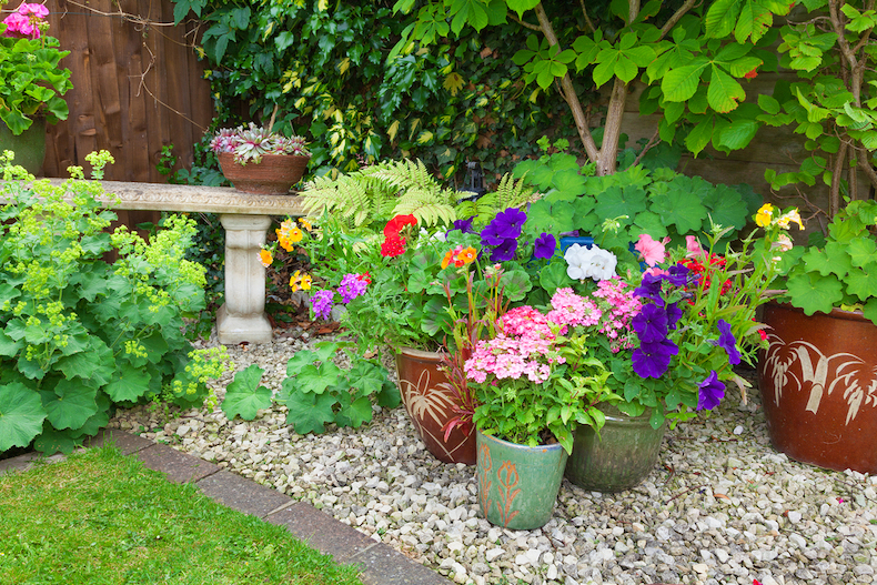 Shade-Loving Flowers